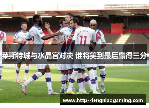 莱斯特城与水晶宫对决 谁将笑到最后赢得三分 莱斯特城与水晶宫对决 谁将笑到最后赢得三分
