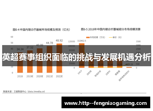 英超赛事组织面临的挑战与发展机遇分析 英超赛事组织面临的挑战与发展机遇分析
