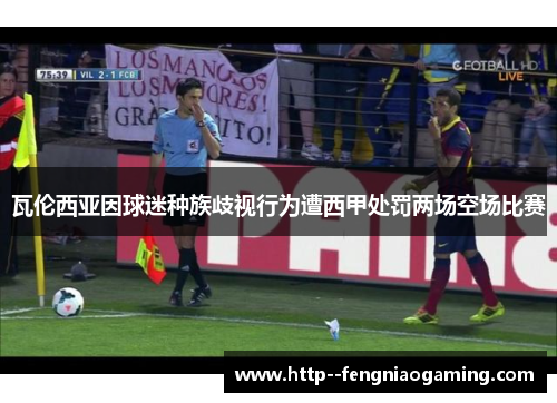 瓦伦西亚因球迷种族歧视行为遭西甲处罚两场空场比赛 瓦伦西亚因球迷种族歧视行为遭西甲处罚两场空场比赛