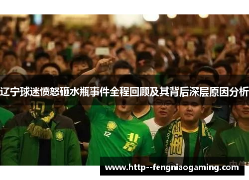 辽宁球迷愤怒砸水瓶事件全程回顾及其背后深层原因分析