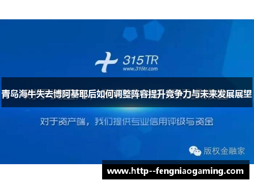 青岛海牛失去博阿基耶后如何调整阵容提升竞争力与未来发展展望
