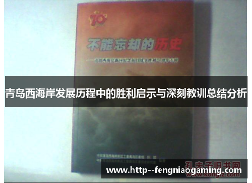 青岛西海岸发展历程中的胜利启示与深刻教训总结分析